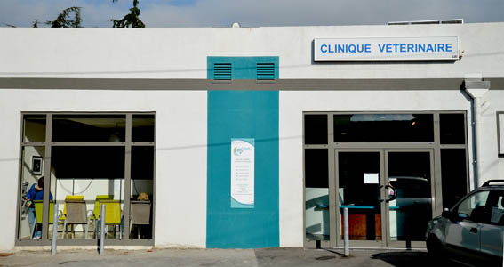 clinique vétérinaire fabella contact