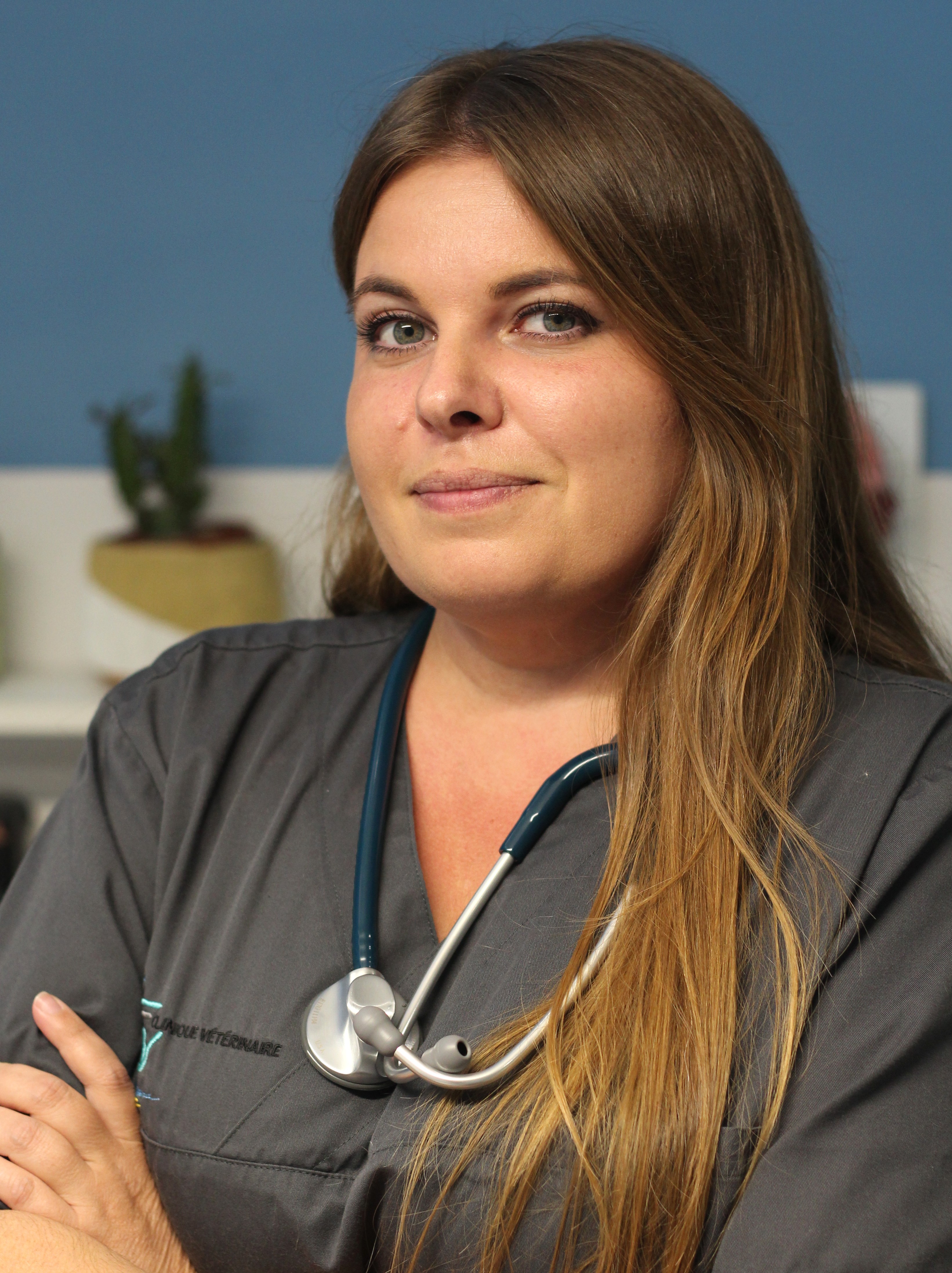 clinique veterinaire fabella Dr Sofia Faldetta