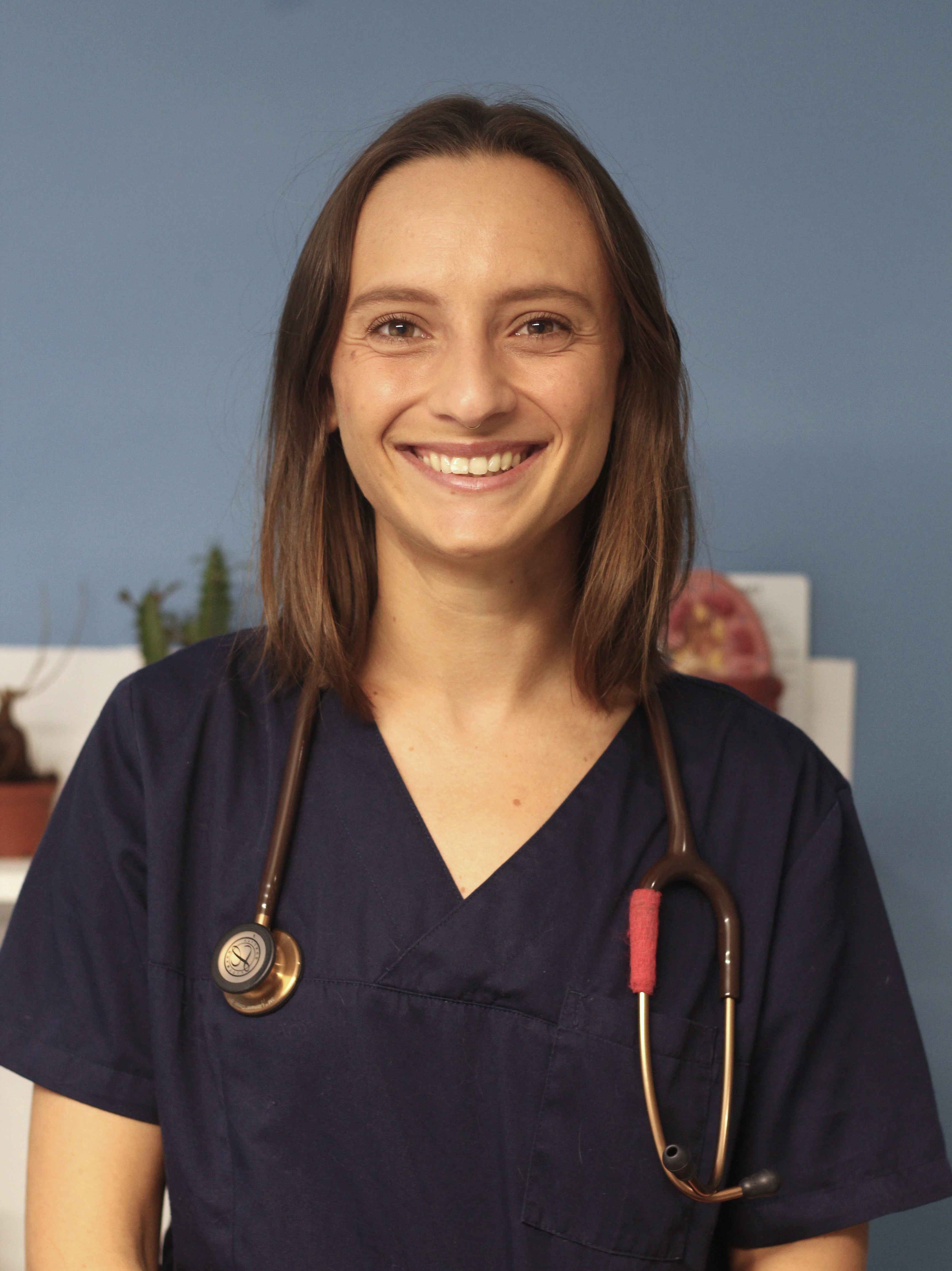 clinique veterinaire fabella Dr Ivanov